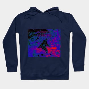 chromatic aberration: the search for sasquatch Hoodie